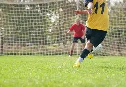 品味云南高,原佳肴,脆嫩黄心娃,滚球购买平台,滚球平台官方网站,滚球平台,(集团)官方网站,十大滚球购买平台