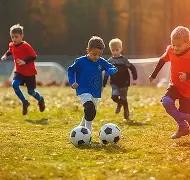 十大滚球购,买平台,资讯,滚球购买平台,滚球平台官方网站,滚球平台,(集团)官方网站,十大滚球购买平台