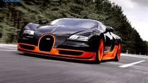 品味云南高原佳肴——脆嫩黄心娃娃菜，健康美味双重享受！