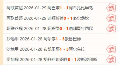 《揭秘防线：能否抵御强敌猛烈攻势？》