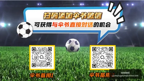 十大滚球购买，滚球平台，平台 165335 3